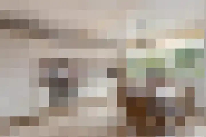 de Teilen 4 Denekamp foto 3
