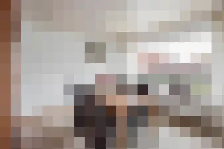 de Teilen 4 Denekamp thumbnail 7