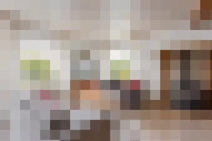 de Teilen 4 Denekamp thumbnail 8