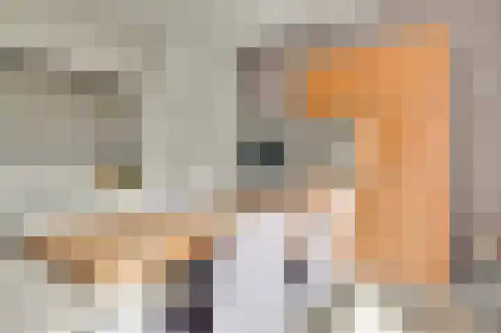 De Tempelier 2 Aarle-Rixtel thumbnail 15