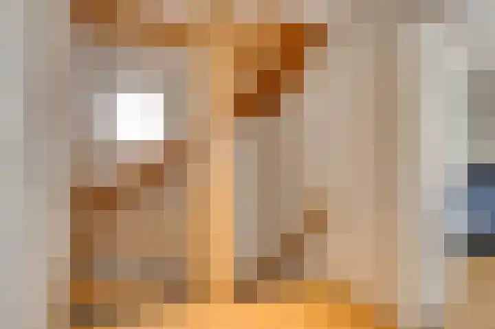 De Tempelier 2 Aarle-Rixtel thumbnail 29
