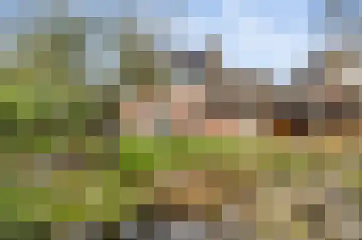 De Tempelier 2 Aarle-Rixtel thumbnail 37