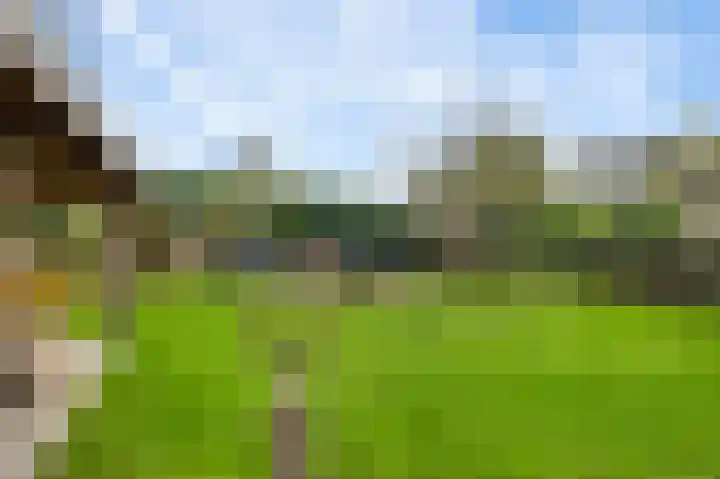 De Tempelier 2 Aarle-Rixtel thumbnail 39