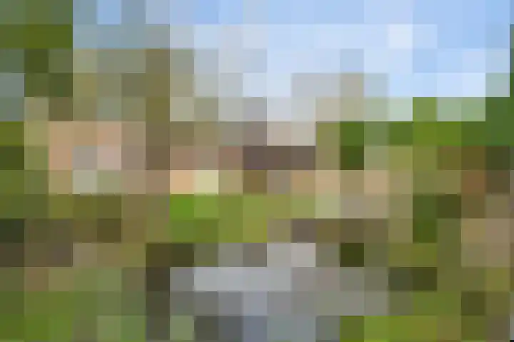De Tempelier 2 Aarle-Rixtel thumbnail 5