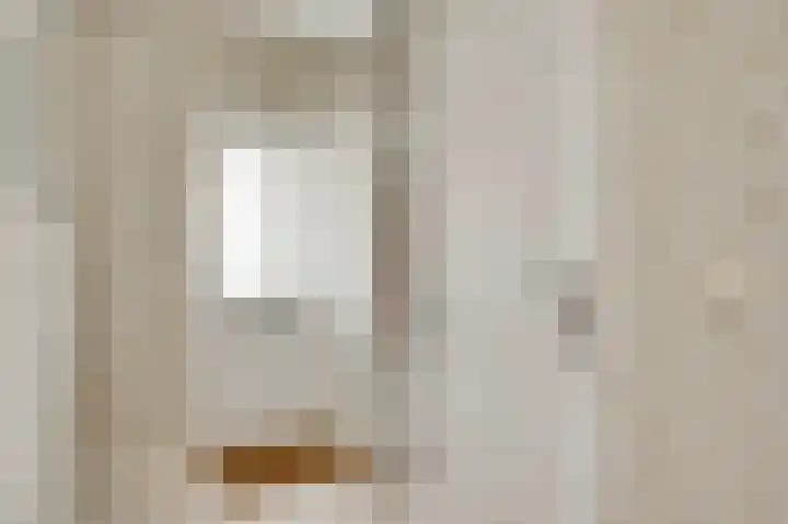 De Tempelier 2 Aarle-Rixtel thumbnail 7