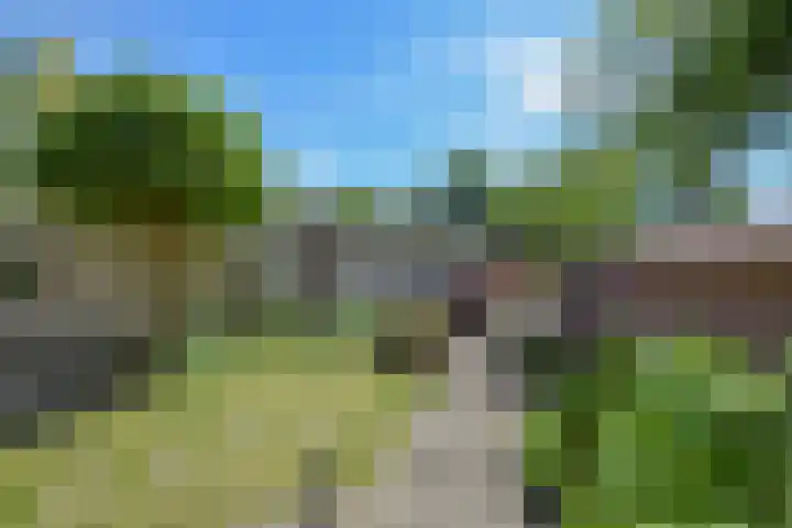 De Terp 10 's-Hertogenbosch thumbnail 36