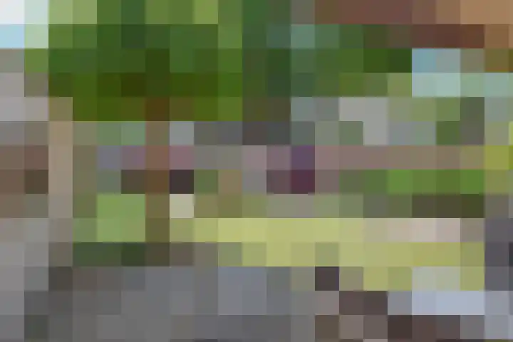 De Terp 10 's-Hertogenbosch thumbnail 37