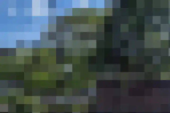 De Terp 10 's-Hertogenbosch thumbnail 46
