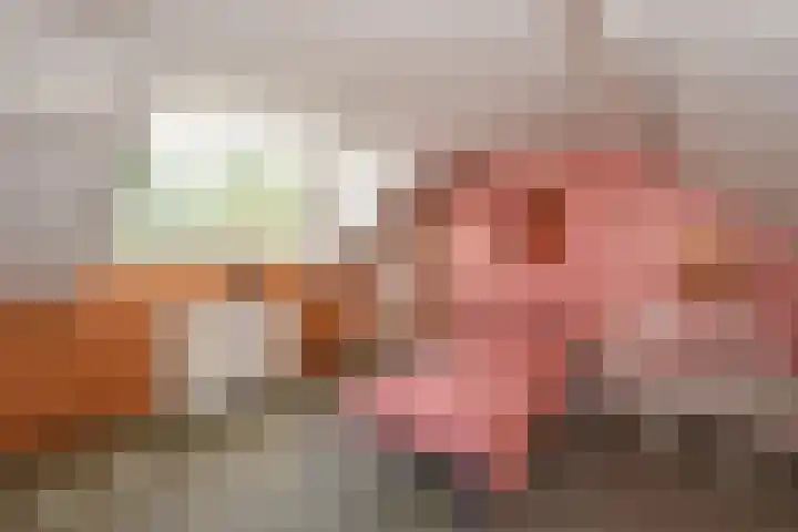 De Terp 10 's-Hertogenbosch thumbnail 49