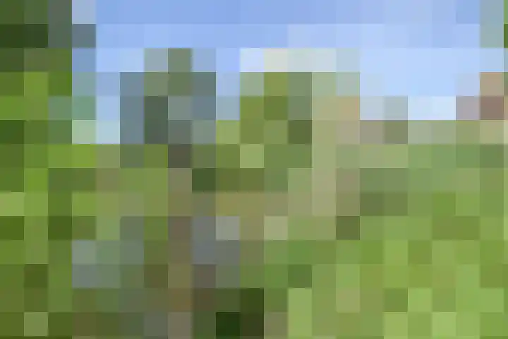 De Terp 10 's-Hertogenbosch thumbnail 52