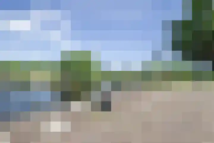 De Terp 10 's-Hertogenbosch thumbnail 53