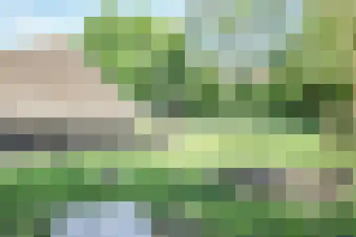 De Terp 10 's-Hertogenbosch thumbnail 54