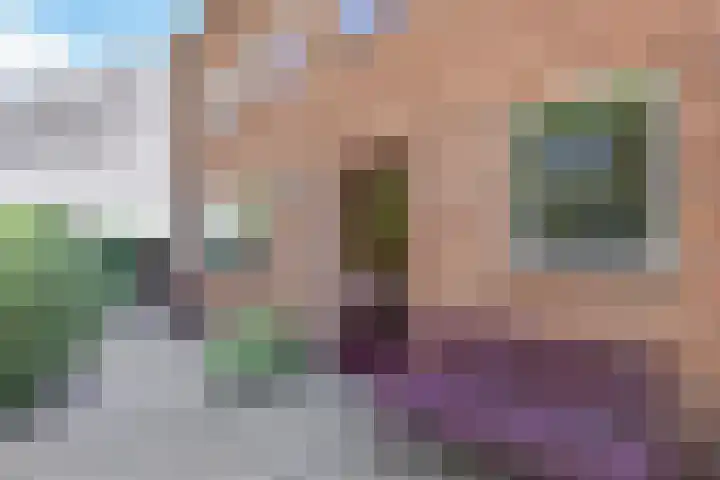 De Terp 10 's-Hertogenbosch thumbnail 8