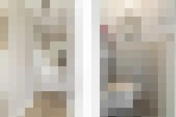 De Terp 5 Uitgeest thumbnail 13
