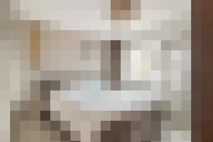 De Terp 5 Uitgeest thumbnail 15