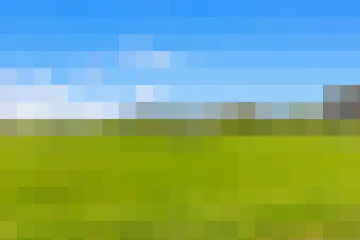De Terp 5 Uitgeest thumbnail 25
