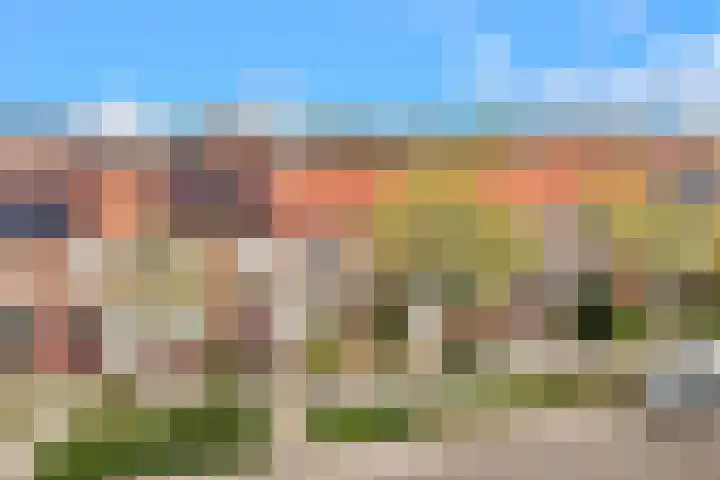 De Terp 5 Uitgeest thumbnail 29