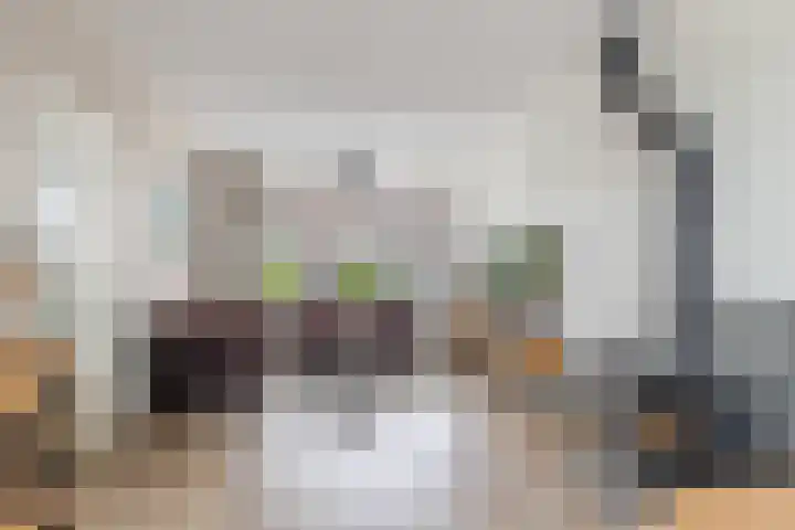 De Terp 5 Uitgeest foto 3