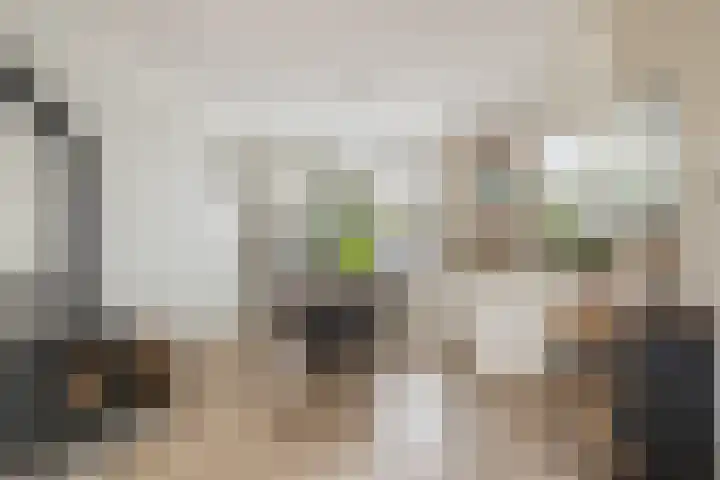 De Terp 5 Uitgeest thumbnail 6