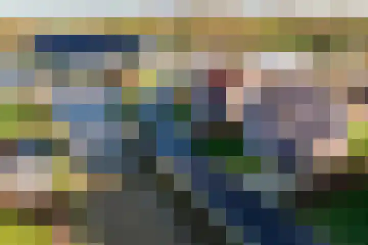 De Terp 64 Witmarsum thumbnail 10