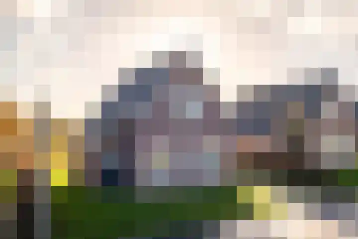 De Terp 64 Witmarsum thumbnail 12