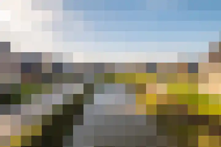 De Terp 64 Witmarsum thumbnail 13