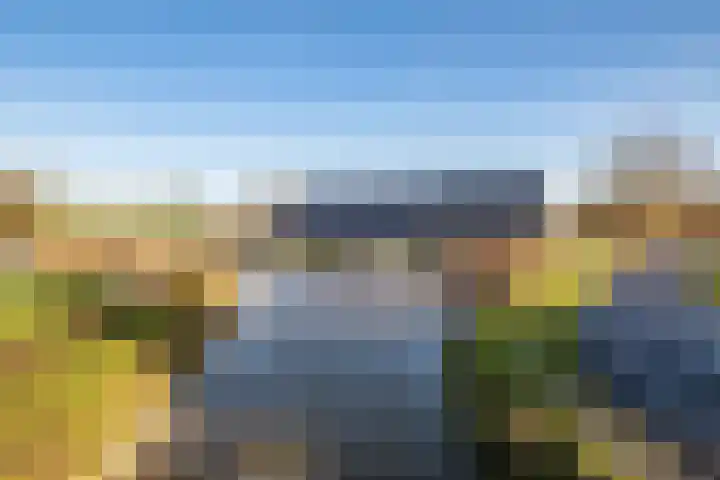De Terp 64 Witmarsum thumbnail 14