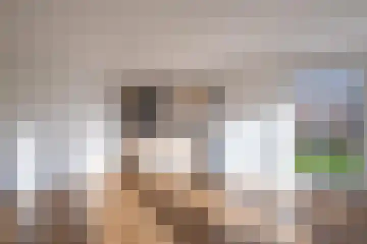 De Terp 64 Witmarsum thumbnail 4