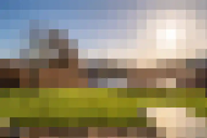 De Terp 64 Witmarsum thumbnail 46