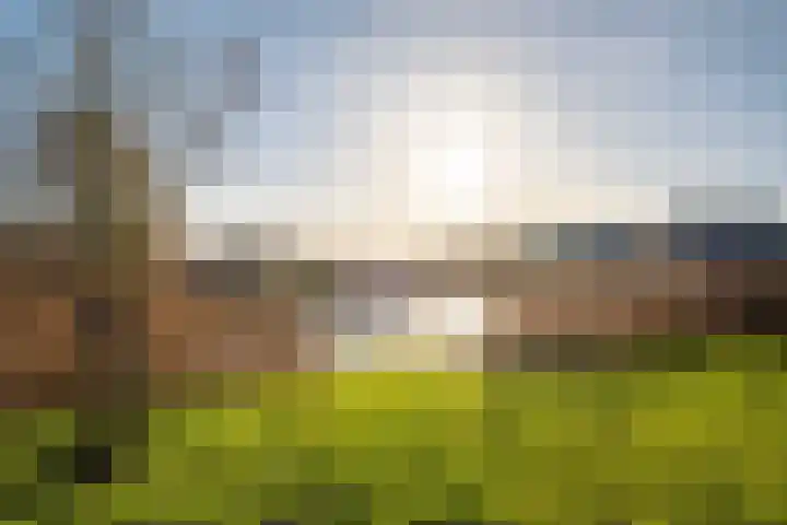 De Terp 64 Witmarsum thumbnail 47