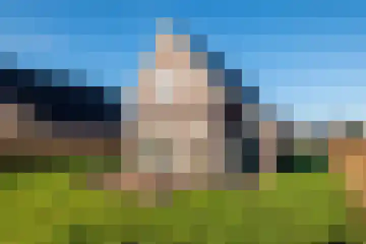 De Terp 64 Witmarsum thumbnail 51