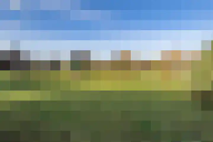De Terp 64 Witmarsum thumbnail 52