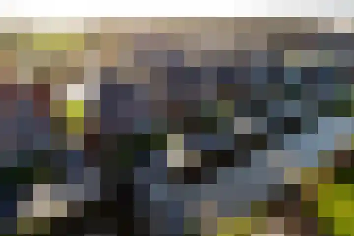 De Terp 64 Witmarsum thumbnail 8