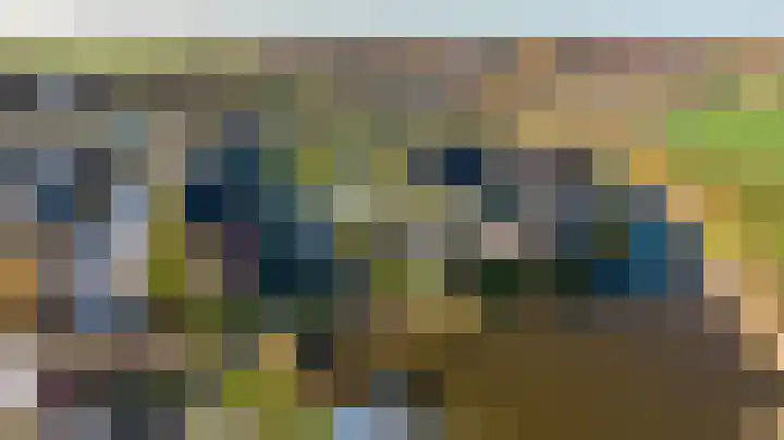 De Terp 64 Witmarsum thumbnail 9