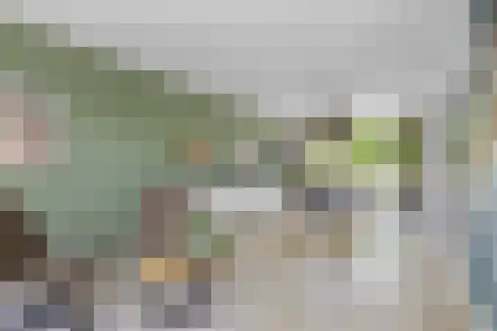 De Terpen 5 Bolsward thumbnail 12
