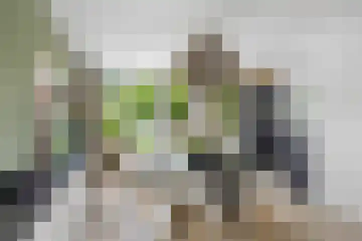 De Terpen 5 Bolsward thumbnail 13