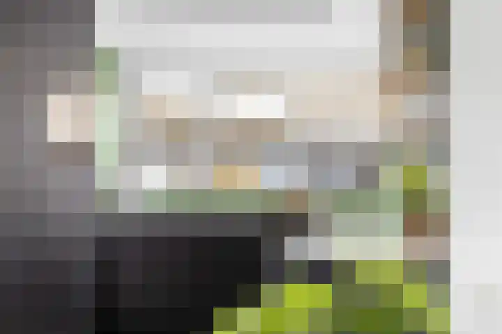De Terpen 5 Bolsward thumbnail 18