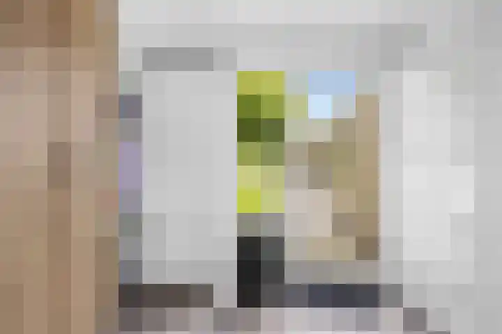 De Terpen 5 Bolsward thumbnail 22