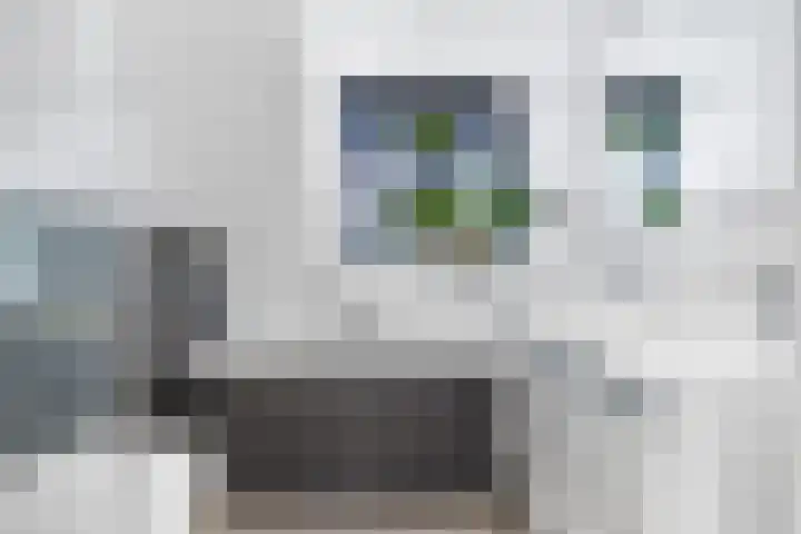 De Terpen 5 Bolsward thumbnail 33