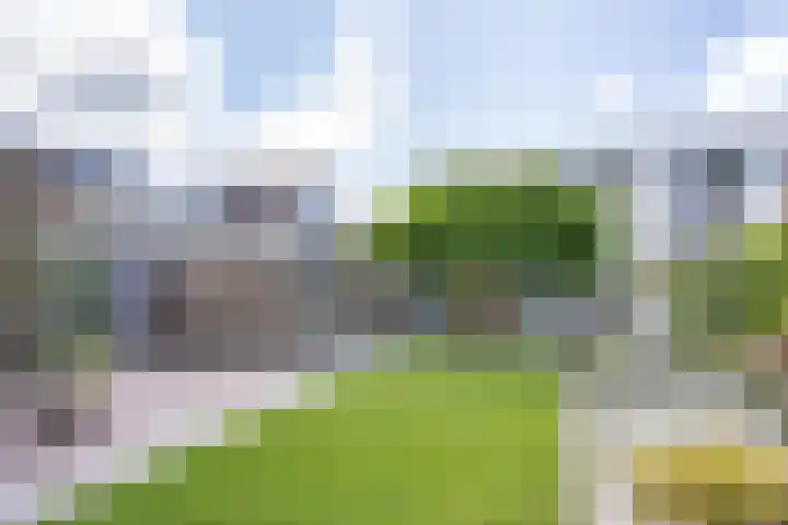 De Terpen 5 Bolsward thumbnail 36