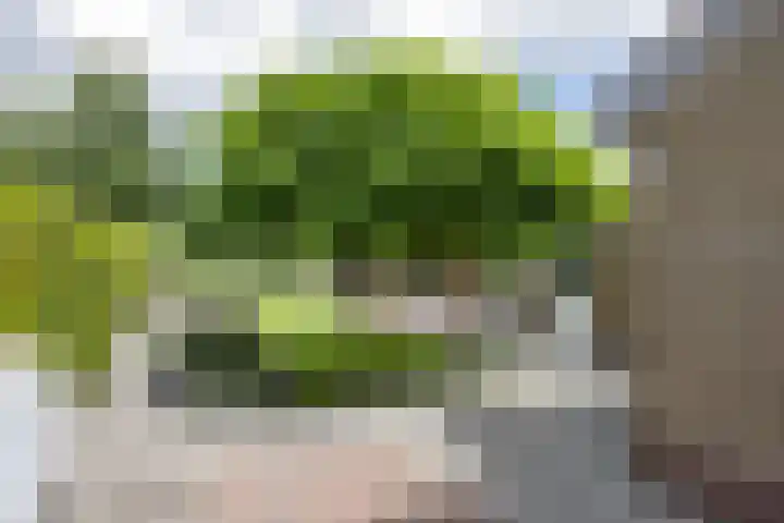 De Terpen 5 Bolsward thumbnail 38
