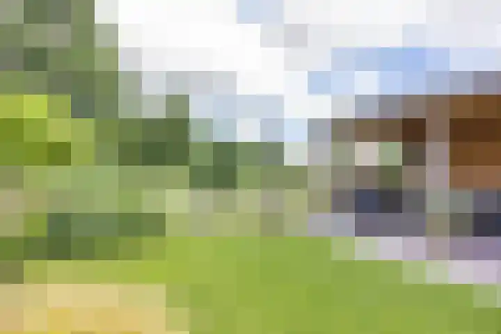 De Terpen 5 Bolsward thumbnail 40