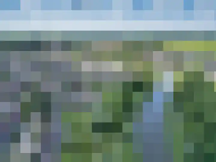 De Terpen 5 Bolsward thumbnail 53