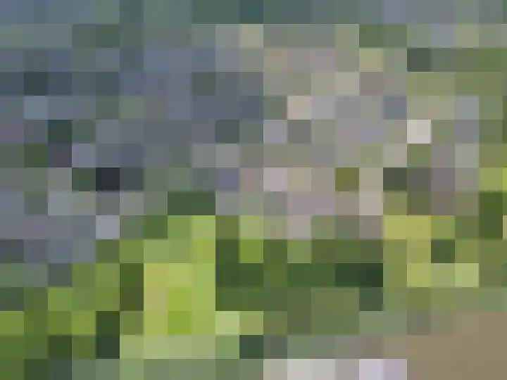 De Terpen 5 Bolsward thumbnail 54