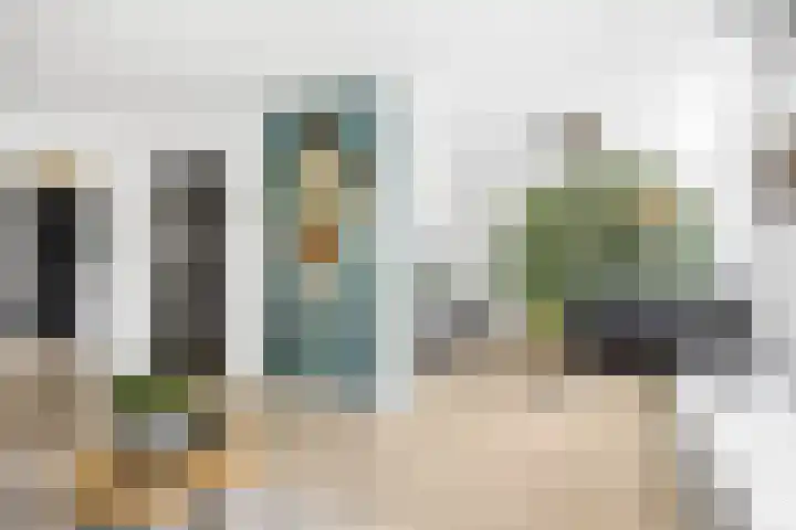 De Terpen 5 Bolsward thumbnail 9