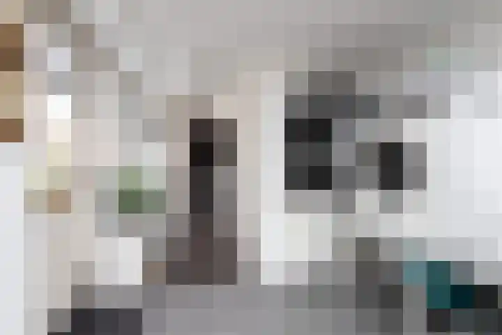 De Terpen 9 Bolsward thumbnail 18