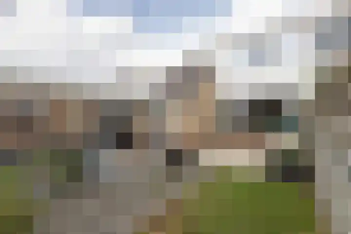 De Terpen 9 Bolsward thumbnail 38