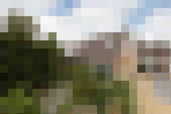 De Terpen 9 Bolsward thumbnail 4