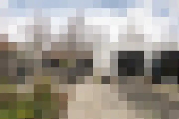 De Terpen 9 Bolsward thumbnail 40