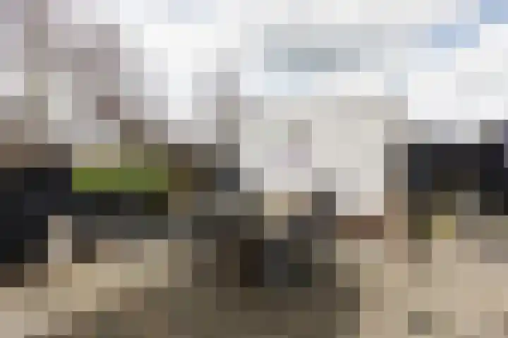 De Terpen 9 Bolsward thumbnail 41
